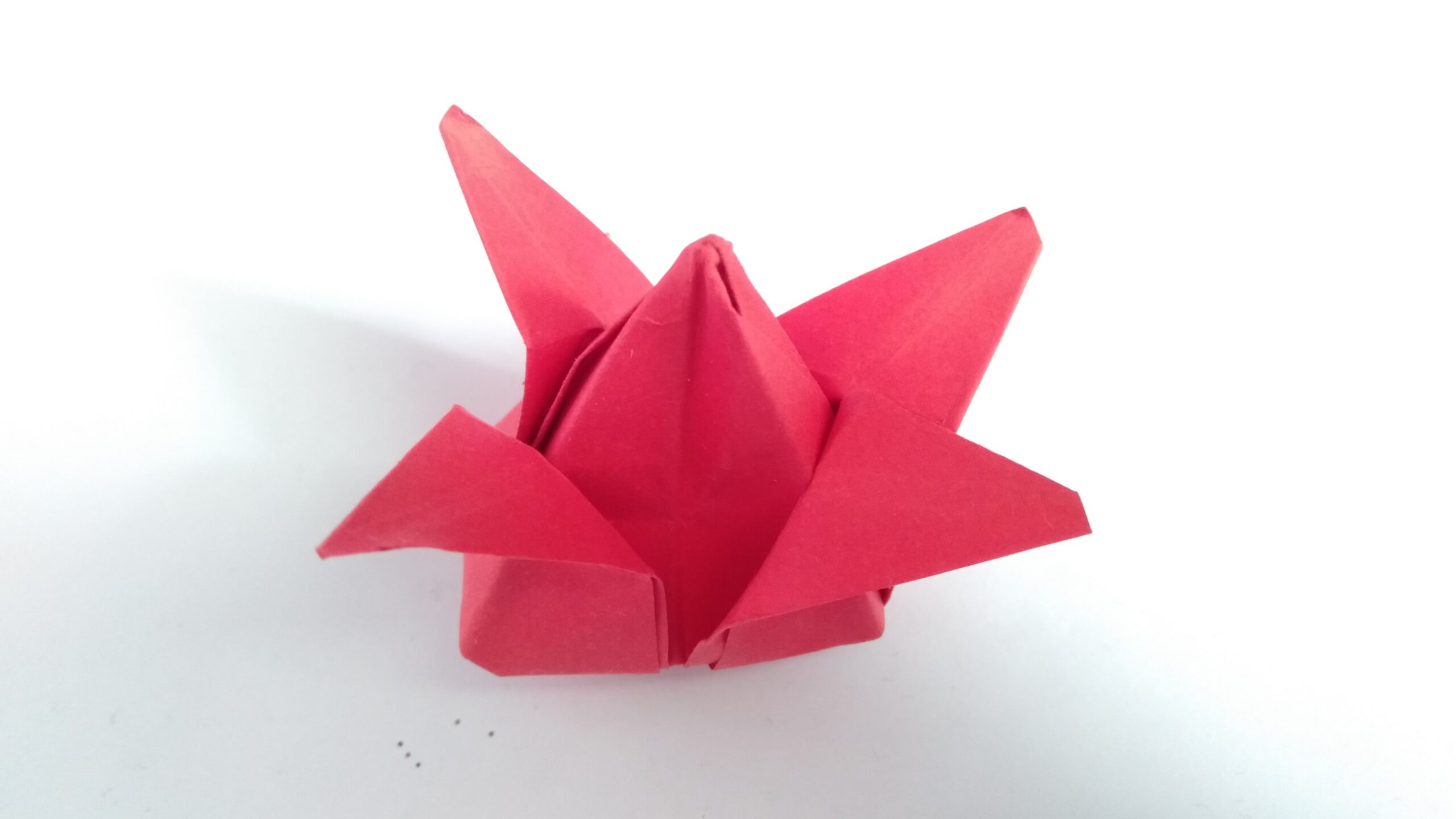 Beautiful origami tulip decoration
